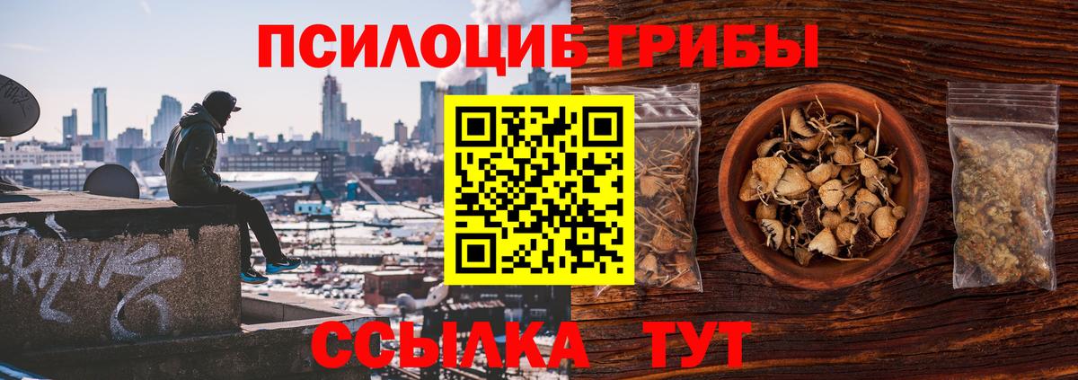 Галлюциногенные грибы MAGIC MUSHROOMS Ейск