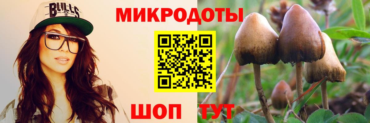 Галлюциногенные грибы Magic Shrooms  Вход с VPN  Ейск 
